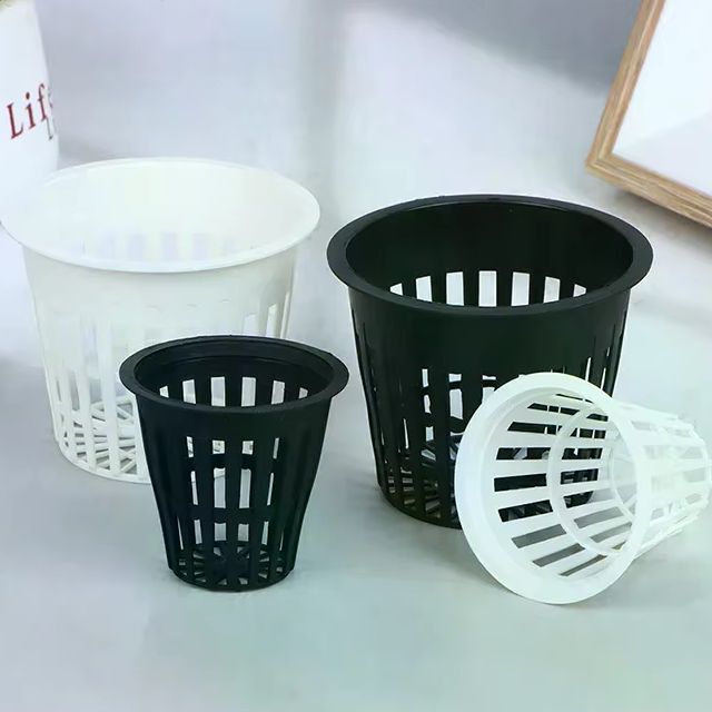 10個入りバスケット型穴あき栽培容器 2インチ 3インチ 蘭 - Net Pot 3 Inch のレビューと価格