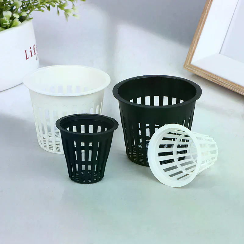 10個入り 2インチ 3インチ 蘭栽培用 水耕栽培カップ 植 - Net Pot 3 Inch のレビューと価格
